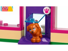 Pet Adoption Café, zdjęcie 7