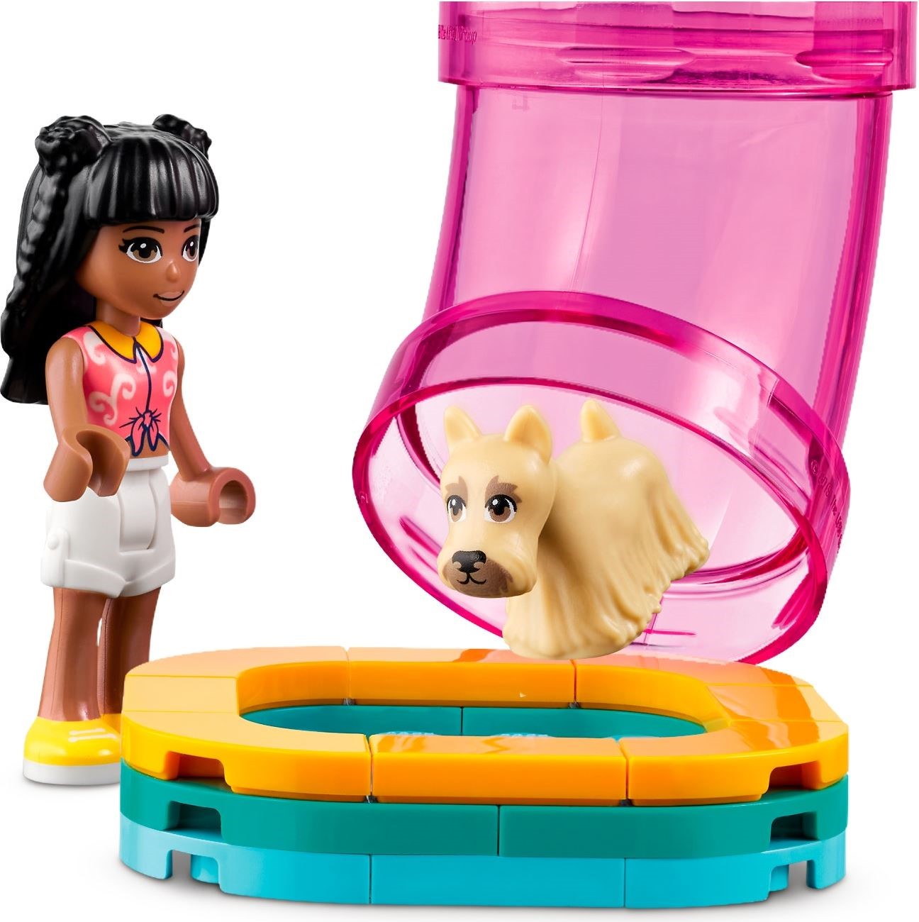Pet Day-Care Center