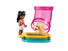 Pet Day-Care Center, zdjęcie 5
