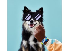 My Pets Bracelet, zdjęcie 6