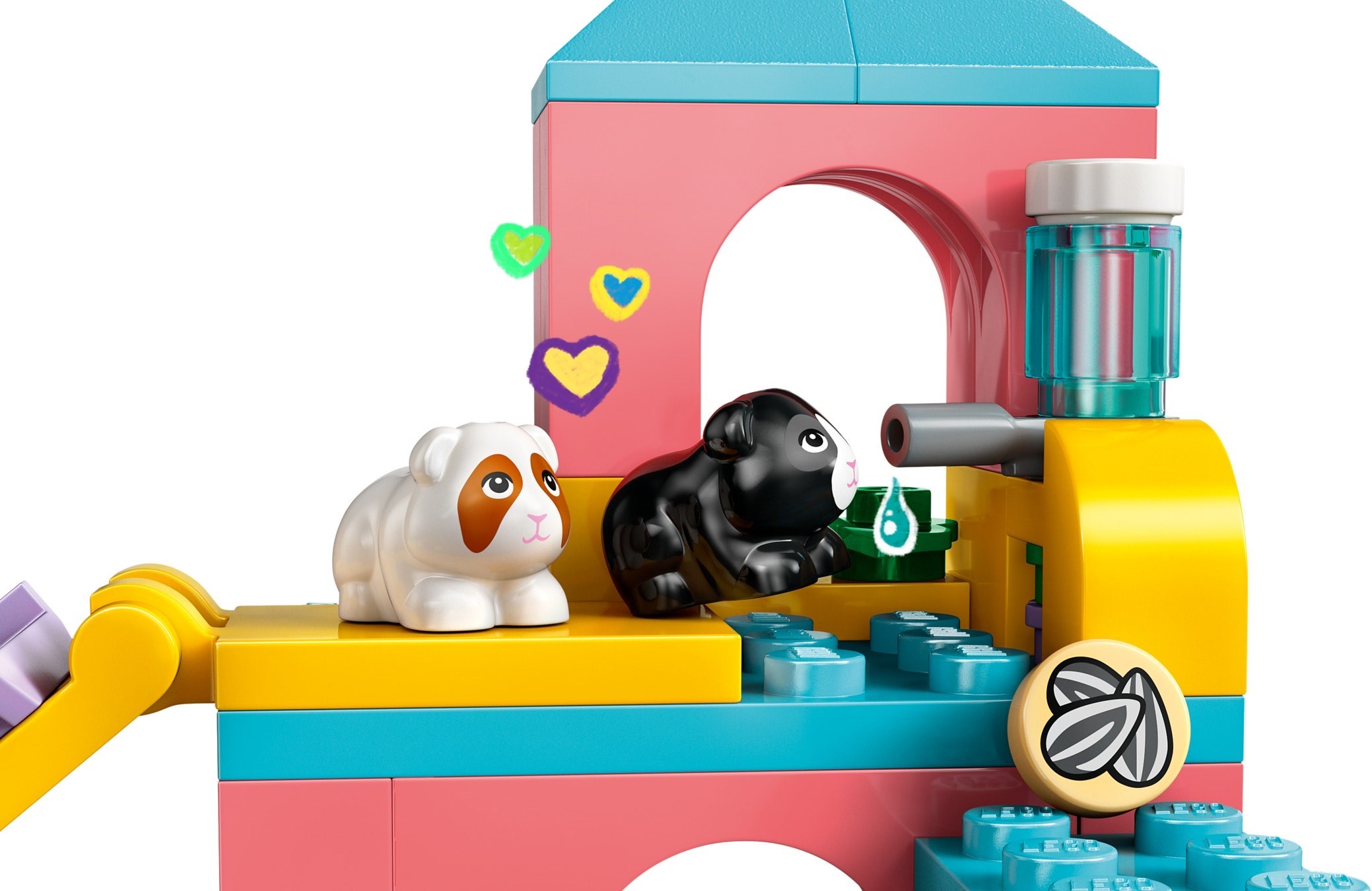 Guinea Pig Playground