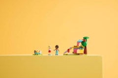 Guinea Pig Playground, zdjęcie 5
