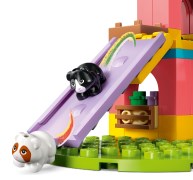 Guinea Pig Playground, zdjęcie 8