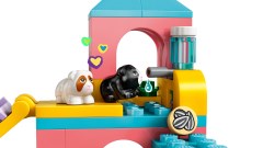 Guinea Pig Playground, zdjęcie 9