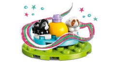 Guinea Pig Playground, zdjęcie 10
