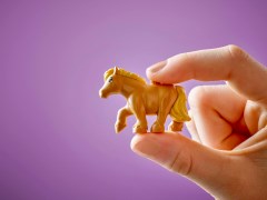 Ponyboerderij en stal LEGO-set afbeelding 9