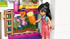 Lianns huis LEGO-set afbeelding 7