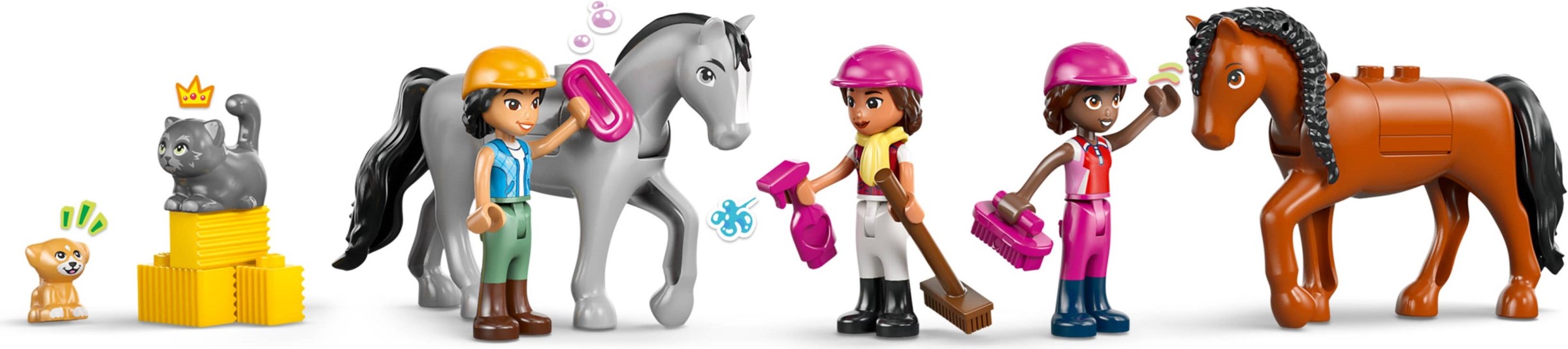 Horse Stable and Riding Academy