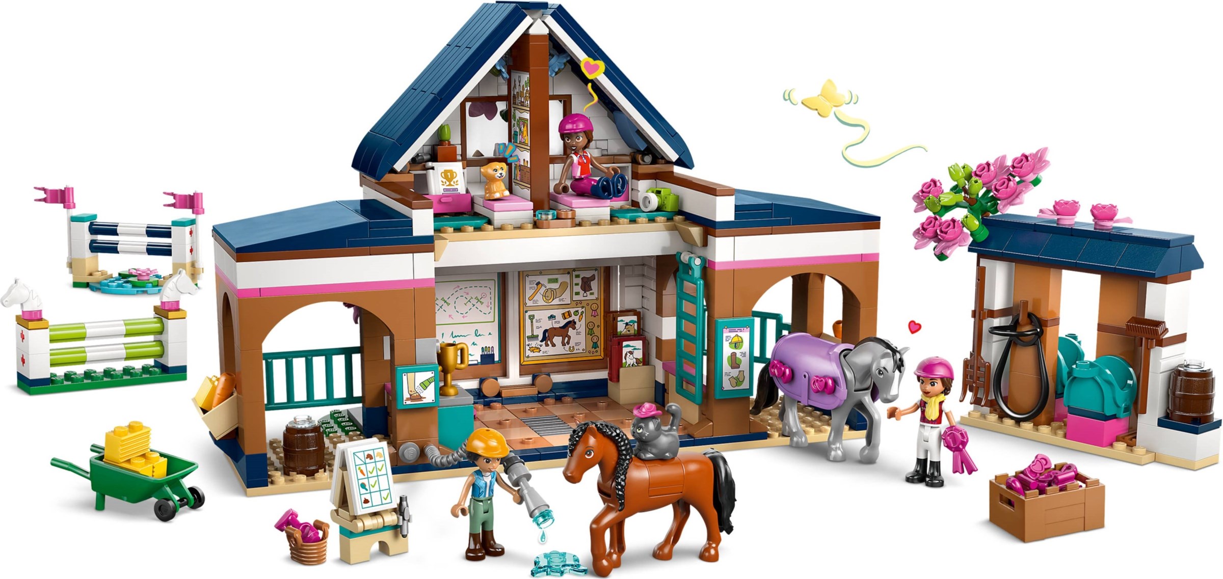 Horse Stable and Riding Academy