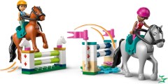 Paardenstal en manege LEGO-set afbeelding 6