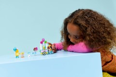 IJsjes- en ballonnenkraam LEGO-set afbeelding 9