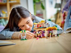 Asha's Cottage LEGO-set afbeelding 9