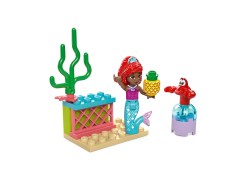 Ariel's Music Stage LEGO-set afbeelding 2