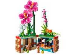 Moana's Flowerpot, zdjęcie 2