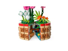 Moana's Flowerpot, zdjęcie 3