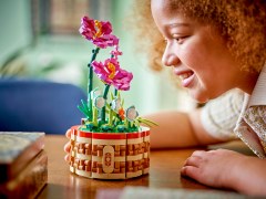 Moana's Flowerpot, zdjęcie 10