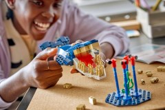 Antarctic Animals Science Kit, zdjęcie 7