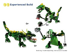 Конструктор LEGO (ЛЕГО) Creator 4894  Mythical Creatures