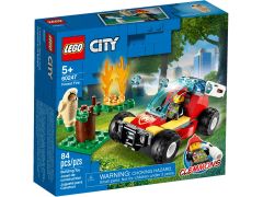 Forest Fire, zdjęcie 2