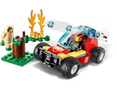 Forest Fire, zdjęcie 3