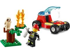 Forest Fire, zdjęcie 4