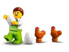 Chicken Henhouse, zdjęcie 7