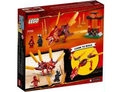 Kai's Fire Dragon, zdjęcie 5