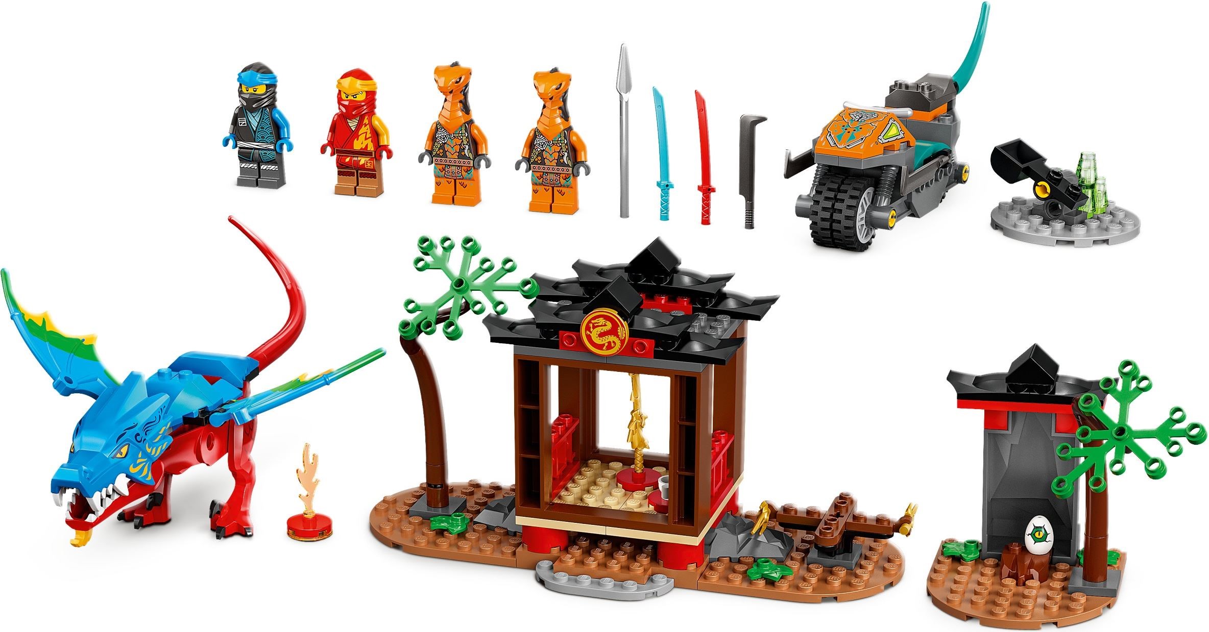 Ninja Dragon Temple