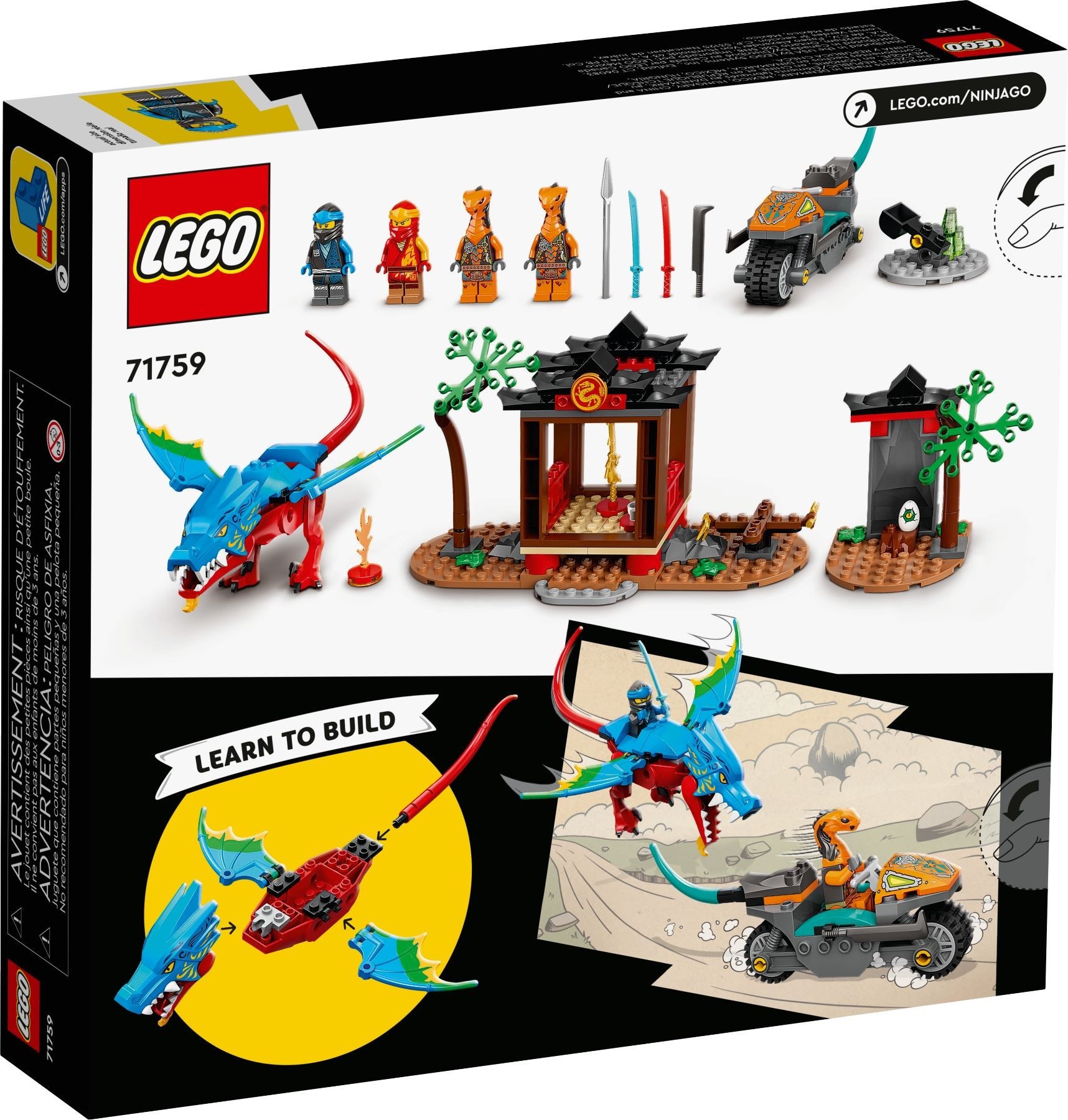 Ninja Dragon Temple