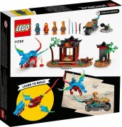 Ninja Dragon Temple LEGO-set afbeelding 3