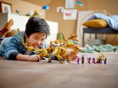 Lloyd's Golden Ultra Dragon, zdjęcie 6
