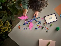 Rontu de Meesterdraak LEGO-set afbeelding 6