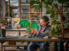 De drakenbewaker LEGO-set afbeelding 8