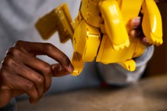 Pikachu and Poké Ball LEGO-set afbeelding 12
