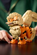 Arcanine, zdjęcie 4
