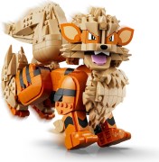 Arcanine, zdjęcie 13