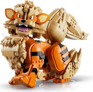 Arcanine, zdjęcie 14