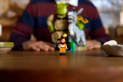 Shrek, Ezel en de Gelaarsde Kat LEGO-set afbeelding 13