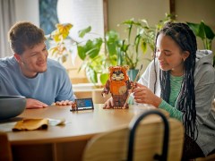 Wicket the Ewok LEGO-set afbeelding 9
