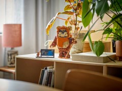 Wicket the Ewok LEGO-set afbeelding 10