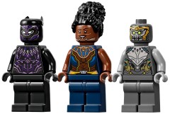 Black Panther Dragon Flyer, zdjęcie 3