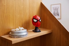 Spider-Man's Mask, zdjęcie 8