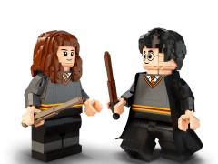 Harry Potter & Hermione Granger, zdjęcie 9