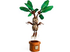 Mandrake, zdjęcie 2