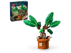 Mandrake, zdjęcie 6