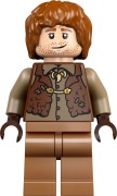 Het Nest - Verzameleditie LEGO-set afbeelding 15