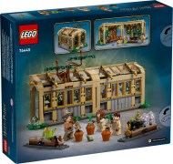 Kasteel Zweinstein: Kruidenkundeles LEGO-set afbeelding 2