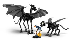 Thestral Family, zdjęcie 9