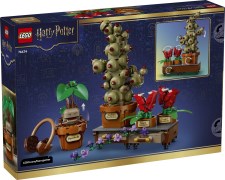 Zweinstein Kruidenkunde planten LEGO-set afbeelding 3