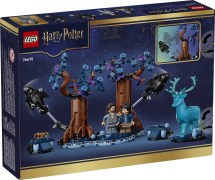 Verboden Bos: Expecto Patronum LEGO-set afbeelding 3